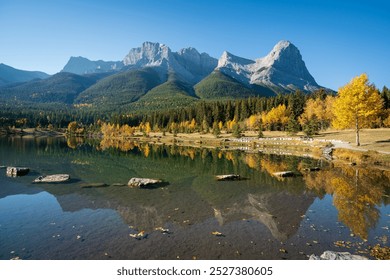 Canadian Rockies Autumn scenery in Quarry Lake, Canmore, Alberta, Canada. Yellow leaves forest, majestic mountains and blue sky reflected on the water. - Powered by Shutterstock