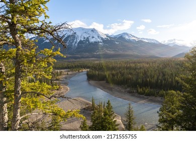 Canadian Rockies Jasper National Park Landscape Background. Athabasca River, Whistlers Peak Nature Scenery In Late Spring To Summer. Alberta, Canada.