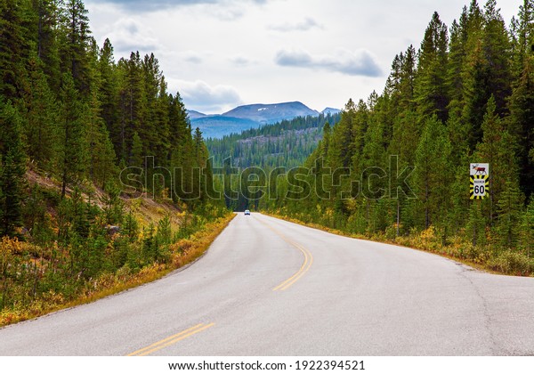 Canadian Rockies. Province of Alberta. Autumn\
travel to Canada. Cloudy day in the Canadian Rockies. Wide highway\
runs through dense coniferous\
forests