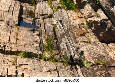 Canadian Shield / Precambrian Rocks