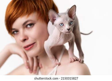 Canadian Sphynx Cat Standing In Defensive Pose On Shoulder Of Redhead Young Woman With Short Hair. Selective Focus On Kitten, Shallow Depth Of Field. Head Shot On White Background. Part Of Series.