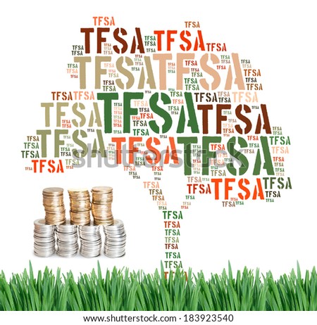 Canadian Tax-Free Savings Account concept word cloud