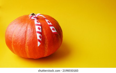 Canadian Thanksgiving. Fresh Pumpkin Harvest From Farm