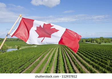 Canadian Wine Industry