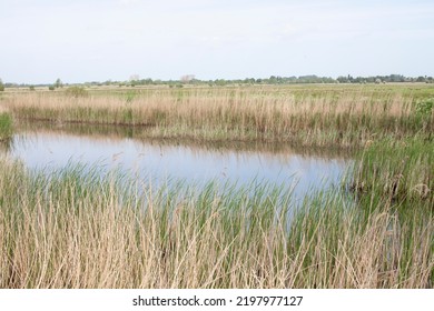 Canal Boat Holiday River Windmill