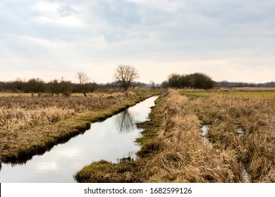 Canal Ditch With Water Landscape View At Drained Wetland. Natura 2000 Bagno Pulwy Protected Area In Poland.