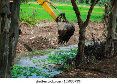 Canal dredging work Used for backhoe digging, scooping up debris, mud, tree branches, draining water  the canal.
