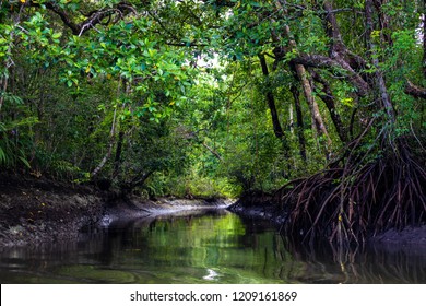 Canal And Mangrove Area In The Aru Island Rainforest , Maluku Archipelago, Papua, Indonesia