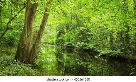 Canal in Stochemhoeve forest park in the Netherlands - Shutterstock ID 458564860