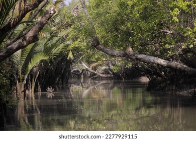 A canal in Sundarbans.Sundarbans is the biggest natural mangrove forest in the world, located between Bangladesh and India.this photo was taken from Bangladesh. - Shutterstock ID 2277929115