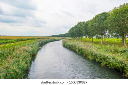 Canal through a field with vegetables below a cloudy sky in summer - Shutterstock ID 1500339827