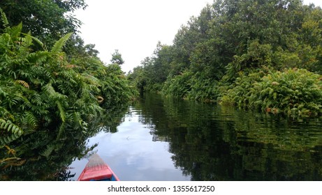 Canal Tour In Peatland