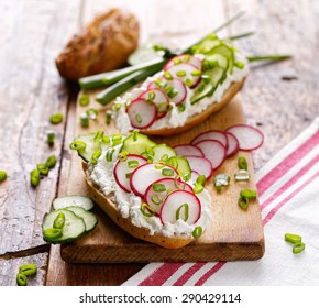 Canapes With Cottage Cheese, Radish, Fresh Cucumber And Scallion