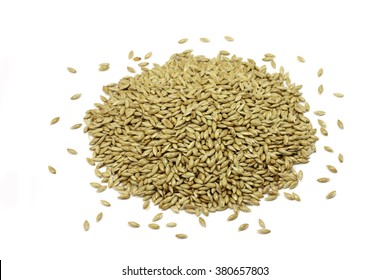 Canary Grass Seeds Of A Handful On A White Background