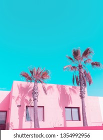 Canary Island. Palm. Pink Pastel Colours Trend. Fashion Travel Vibes