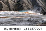                          Canary Spring at Mammoth Hot Springs, Yellowstone National Park, Wyoming, USA       