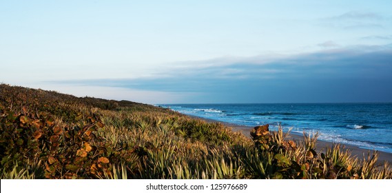 Canaveral National Seashore