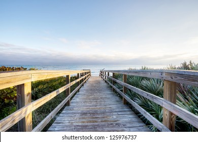 Canaveral National Seashore