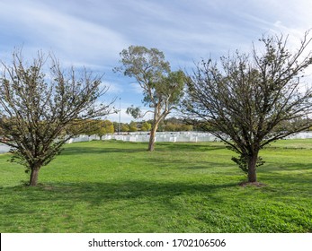 CANBERRA, AUSTRALIA – APRIL, 13 2020: Construction Of Canberra Coronavirus Field Hospital Located On Garran Oval Northeast Of The Canberra Hospital Campus In Preparation Of The 2020 COVID-19 Pandemic