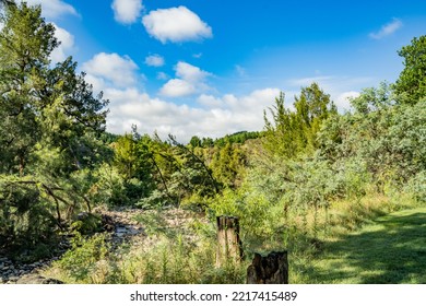 Canberra, Australia- January 28 2022: Day Out At Tidbinbilla And Cotter Dam Nature Reserve