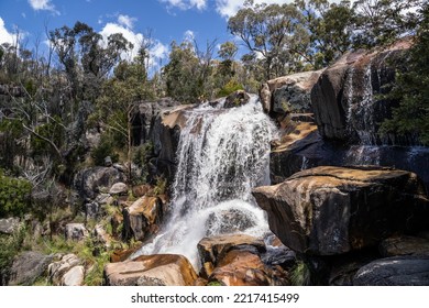 Canberra, Australia- January 28 2022: Day Out At Tidbinbilla And Cotter Dam Nature Reserve