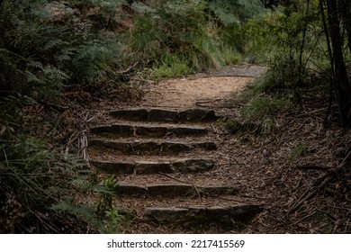 Canberra, Australia- January 28 2022: Day Out At Tidbinbilla And Cotter Dam Nature Reserve