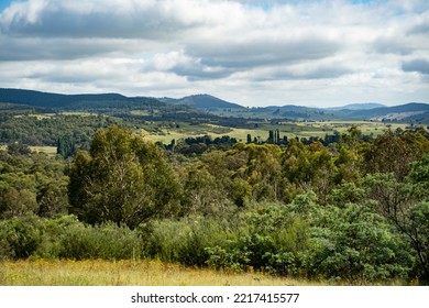 Canberra, Australia- January 28 2022: Day Out At Tidbinbilla And Cotter Dam Nature Reserve