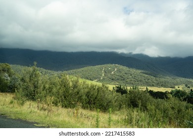 Canberra, Australia- January 28 2022: Day Out At Tidbinbilla And Cotter Dam Nature Reserve