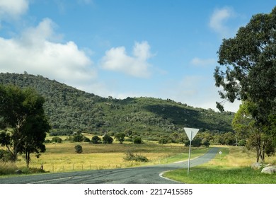 Canberra, Australia- January 28 2022: Day Out At Tidbinbilla And Cotter Dam Nature Reserve