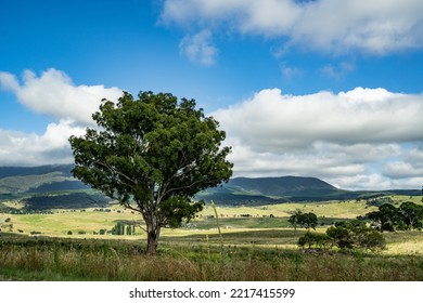 Canberra, Australia- January 28 2022: Day Out At Tidbinbilla And Cotter Dam Nature Reserve