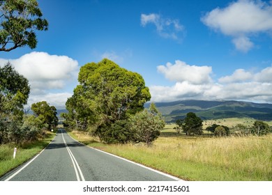 Canberra, Australia- January 28 2022: Day Out At Tidbinbilla And Cotter Dam Nature Reserve