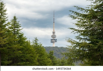 Canberra, Australia,March 10, 2019.Telstra Tower is a telecommunications tower and lookout that is situated above the summit of Black Mountain in Australia's capital city of Canberra.
