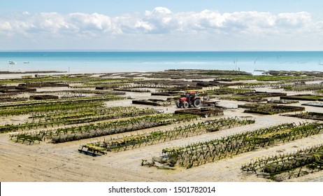 Cancale coast at low tide in a summer day, oyster farms in the foreground. Cancale is the oyster farming centre and seaside resort in Brittany, France.