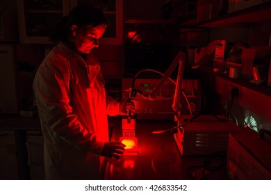 Cancer Research Laboratory, Photodynamic Therapy, Photochemotherapy, Female Scientist Using Photosensitive Drugs To Treat Cancer Cells