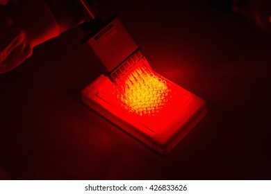 Cancer Research Laboratory, Photodynamic Therapy, Photochemotherapy, Hand Of Scientist Using Photosensitive Drugs To Treat Cancer Cells