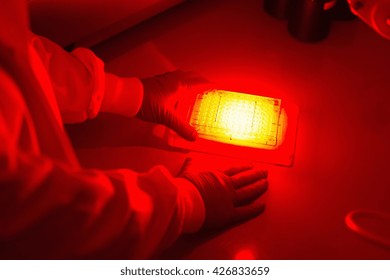 Cancer Research Laboratory, Photodynamic Therapy, Photochemotherapy, Scientist Using Photosensitive Drugs To Treat Cancer Cells