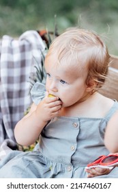 Candid Lifestyle Portrait Of Caucasian Baby Girl One Year Old Eating Healthy Food On Picnic Blanket At Summer On Backyard In Suburb