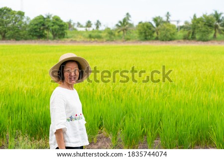 candid portrait of older asian woman wearing casual outfit standing in the golden rice paddy field