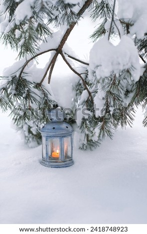 candle Lantern in snow, snowy pine tree branches, natural backdrop. winter background. atmosphere festive winter still life. Christmas, new year holidays concept.