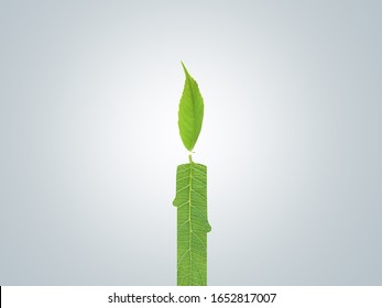 Candle Light made of green leaf eco energy concept. Green energy or fuel concept. Pray for green world earth day or environment day concept. - Powered by Shutterstock