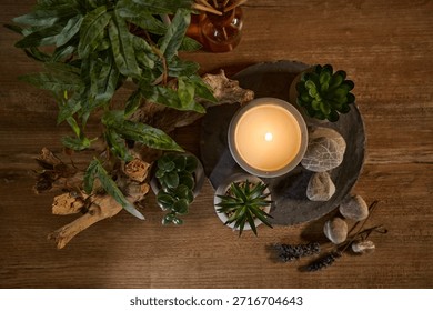 Candle on a stone surface surrounded by plants and decorative stones in a cozy indoor setting