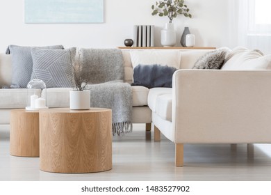 Candle and plant in grey concrete pot on wooden coffee tables in front of scandinavian designed sofa - Shutterstock ID 1483527902