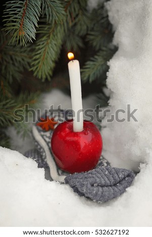 Similar – Image, Stock Photo Advent in the forest…