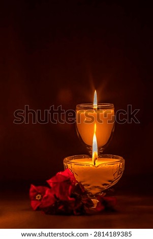 Candles with flames alight and aligned, in two types of glasses, with starburst, bougenvillea flowers and brown background.