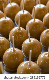 Candy Apples Sweet Carmel Covered Treats