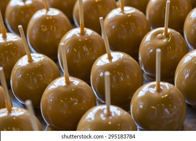 Candy Apples Sweet Carmel Covered Treats