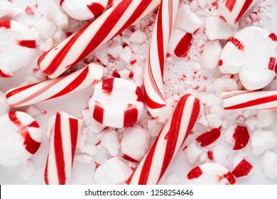 Candy Cane and Peppermint bits and pieces. - Powered by Shutterstock