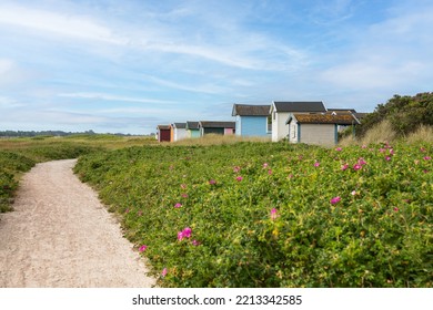 Candy Coloured Beach Huts In The Sand Dunes. Sweden, Skanör, 1 July 2022