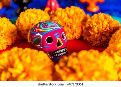 Candy Skulls - Day of the dead celebration - Ofrenda de muertos, calaveras y flores de Cempasuchil 