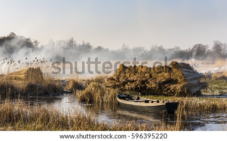 Cane cultivation with boat and ditch near Giethoorn and Kalenberg in wintertime in National Park Weerribben-Wieden, Netherlands. Stock photo © 